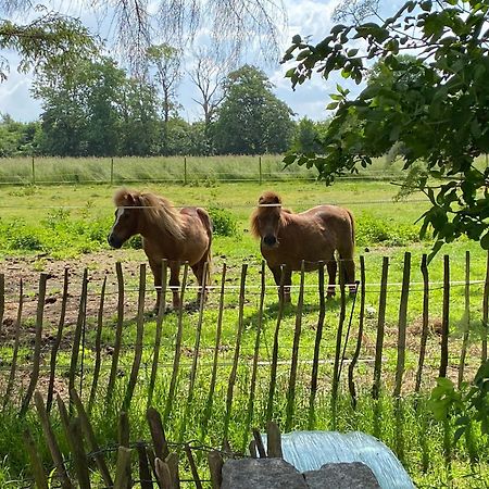 Bed & Breakfast 5 Min From E47 - Dogs Welcome - Cosy Farm Bnb Tureby Exteriör bild