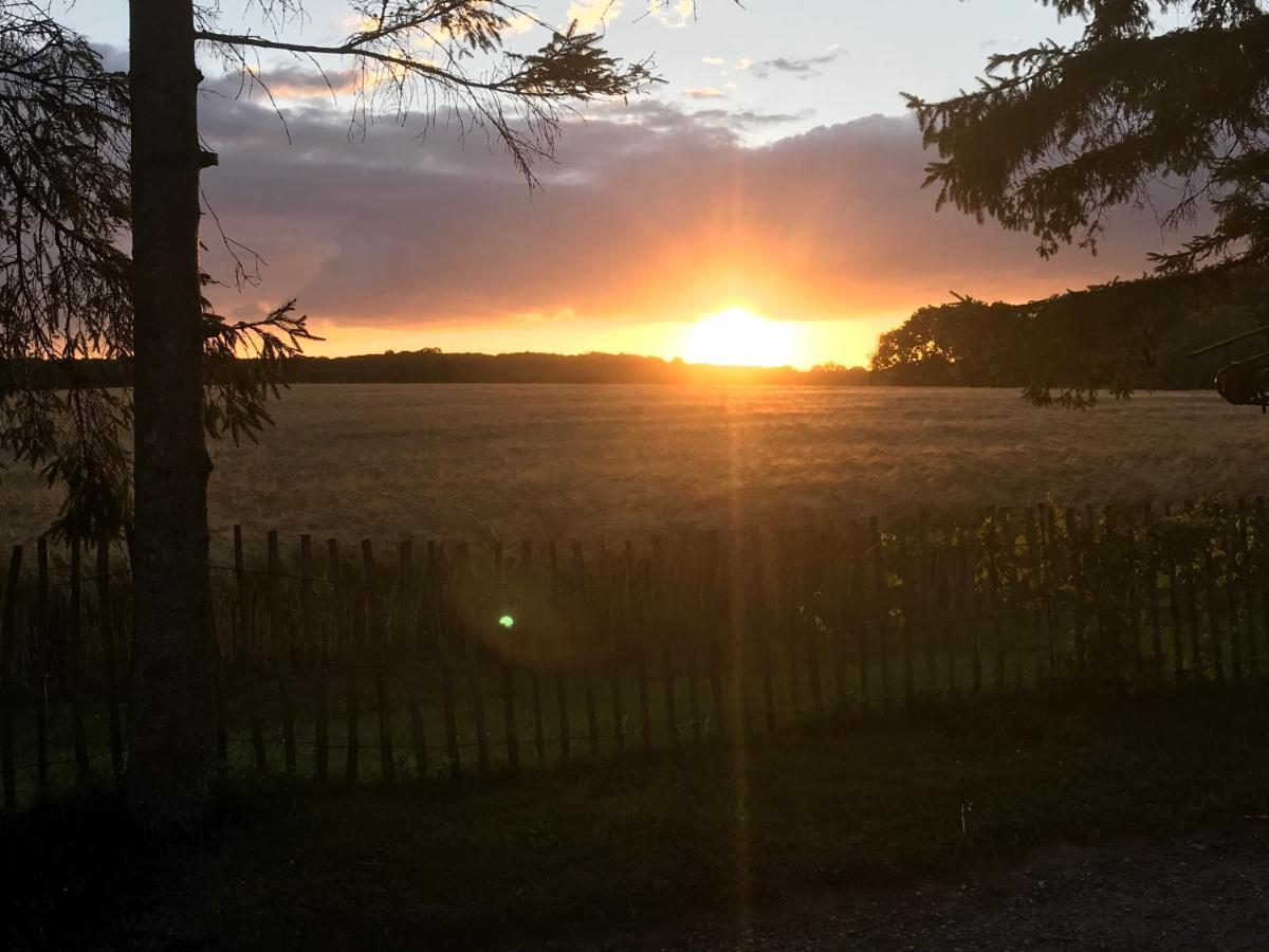 Bed & Breakfast 5 Min From E47 - Dogs Welcome - Cosy Farm Bnb Tureby Exteriör bild