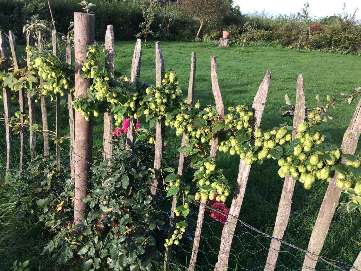 Bed & Breakfast 5 Min From E47 - Dogs Welcome - Cosy Farm Bnb Tureby Exteriör bild