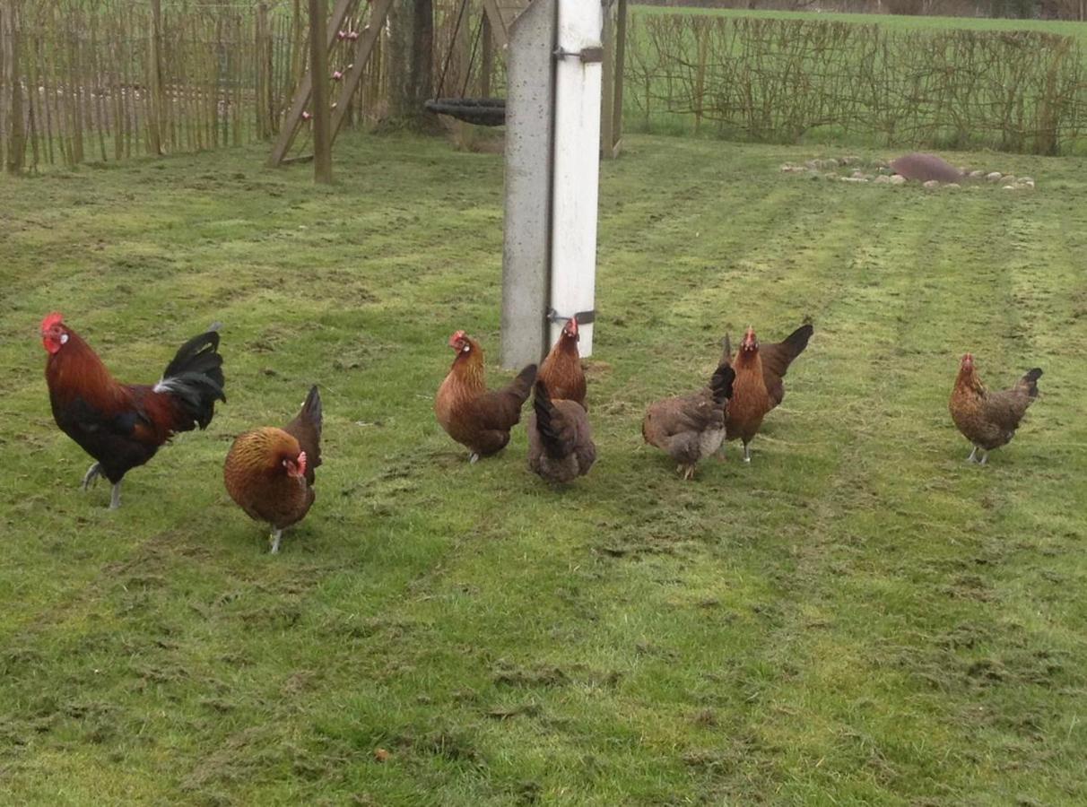 Bed & Breakfast 5 Min From E47 - Dogs Welcome - Cosy Farm Bnb Tureby Exteriör bild