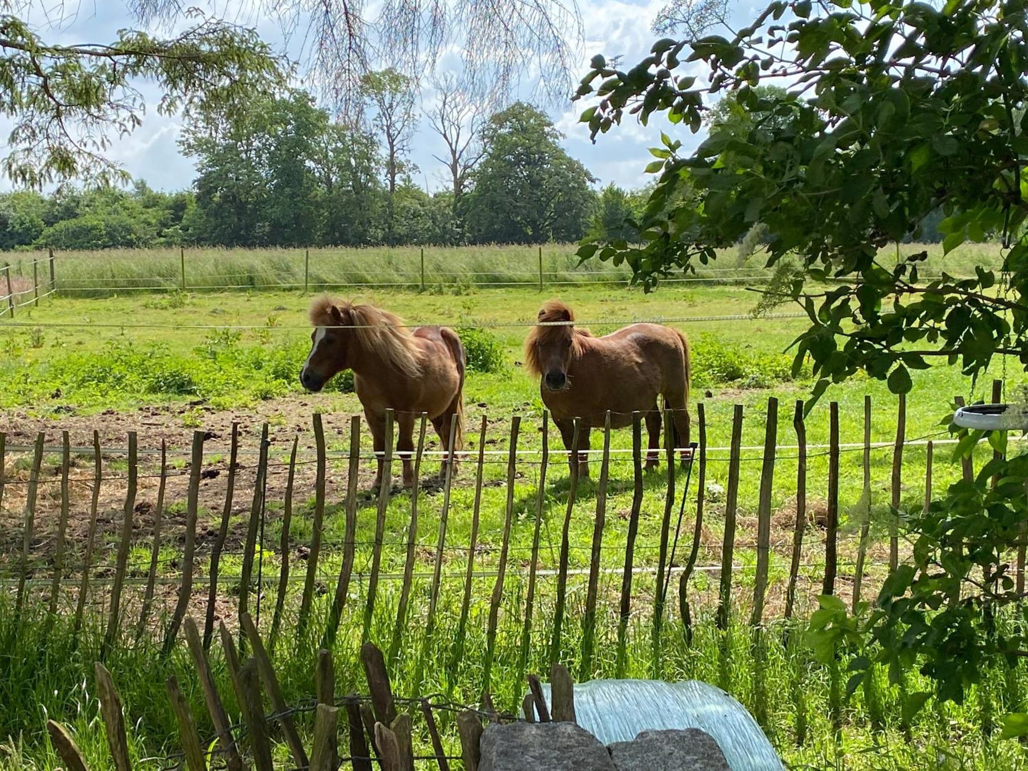 Bed & Breakfast 5 Min From E47 - Dogs Welcome - Cosy Farm Bnb Tureby Exteriör bild