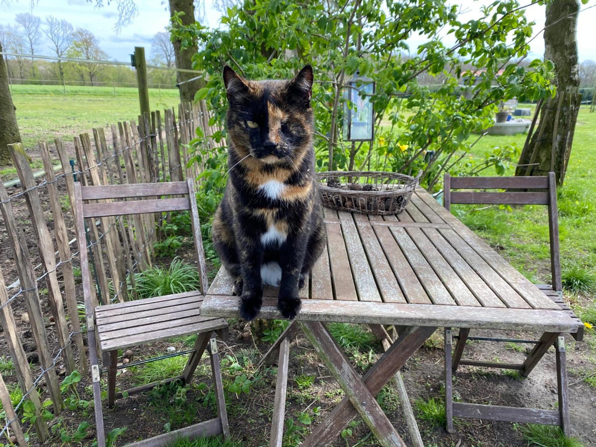 Bed & Breakfast 5 Min From E47 - Dogs Welcome - Cosy Farm Bnb Tureby Exteriör bild